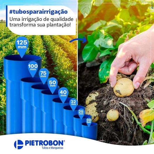 Pietrobon | CONJUNTO TUBO PVC PIETROBON IRRIGACAO DN50 PN60 C/10